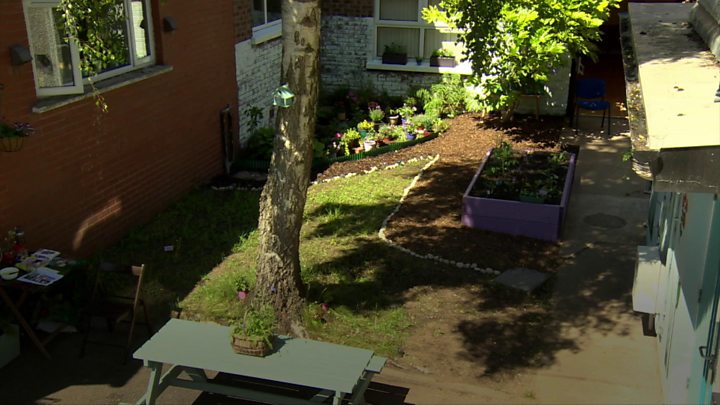 Gardening And Landscaping Belfast