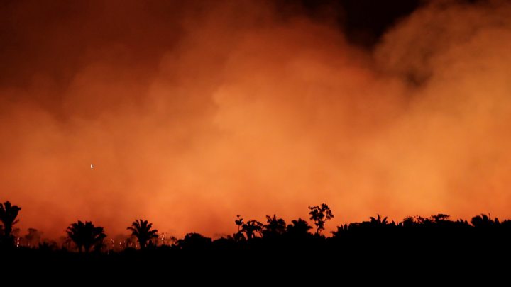 「アマゾン 火事」の画像検索結果