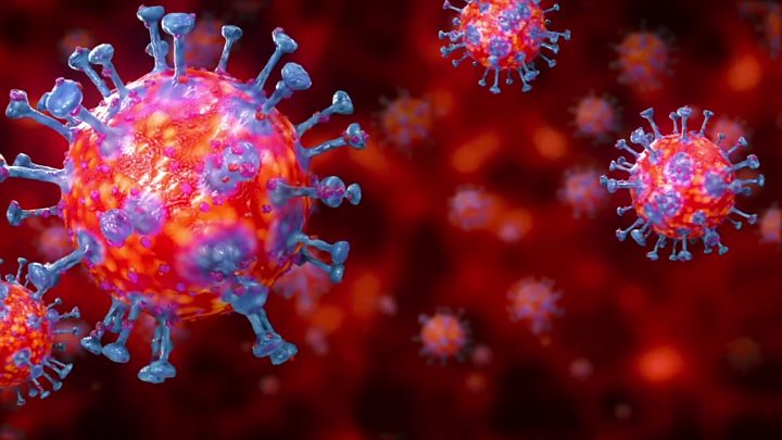 Image result for coronavirus