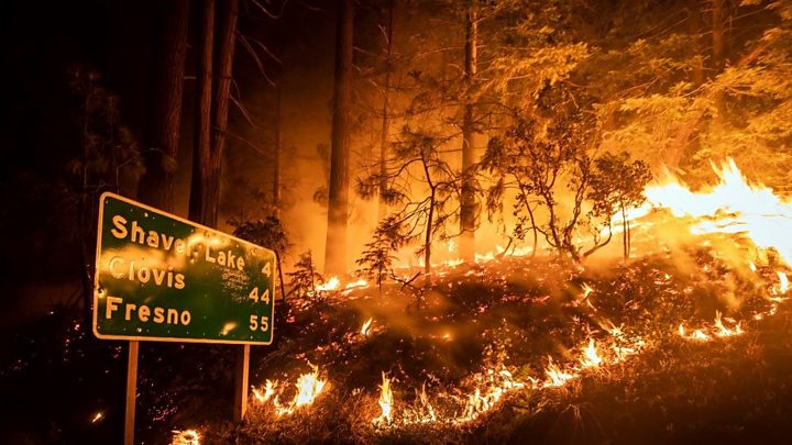 Wildfires burn through record area in California as blazes continue to  spread - BBC News