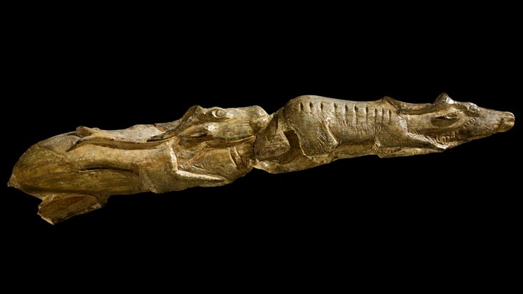 Making Us Human (2,000,000 - 9000 BC), Swimming Reindeer