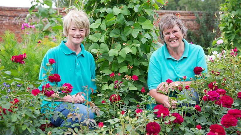 BBC Two - The Big Allotment Challenge, Series 1 - Profiles