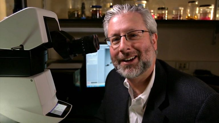 BBC Four Your Inner Fish An Evolution Story Episode Guide