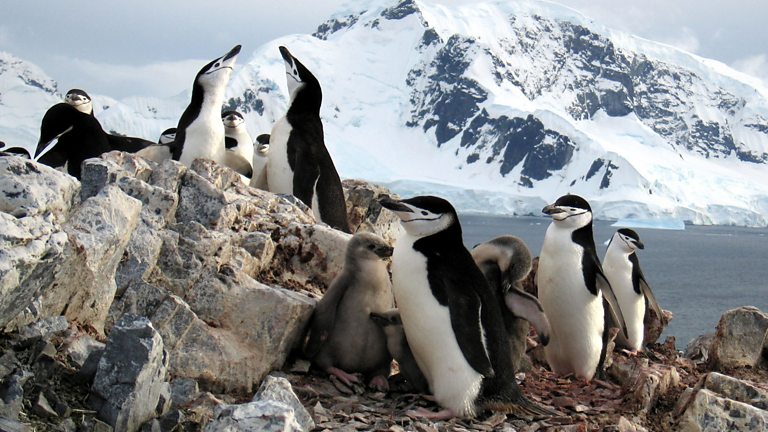 BBC One - Planet Earth - Episode guide