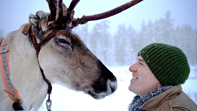 BBC Two - Reindeer Family and Me, Web exclusive: Northern Lights in real time