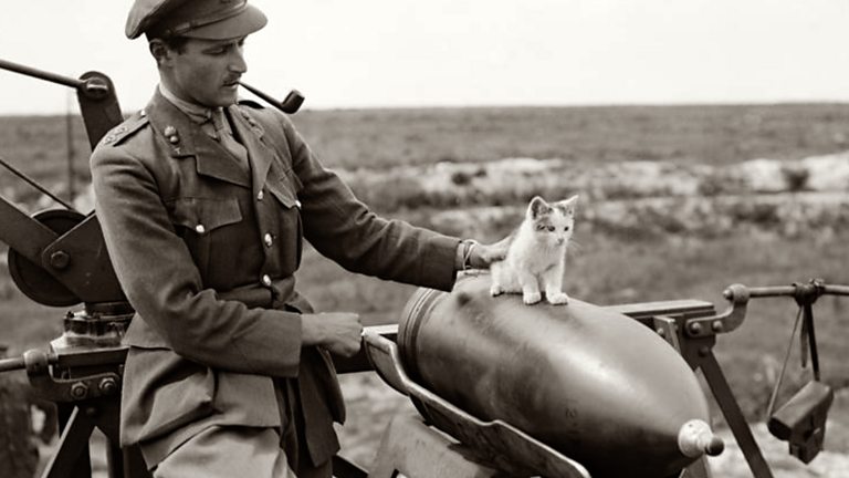 BBC - Animals in WW1