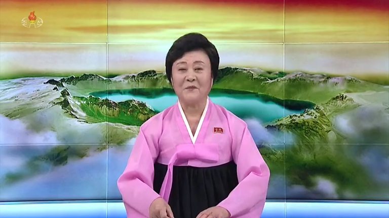 Bbc North Koreas Pink Lady Ri Chun Hee Announced Kims Arrival In Hanoi 