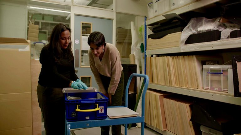 BBC Four - Eugenics: Science's Greatest Scandal