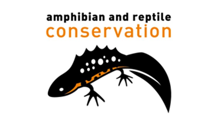 BBC Blogs - Springwatch - Amphibian and Reptile Conservation