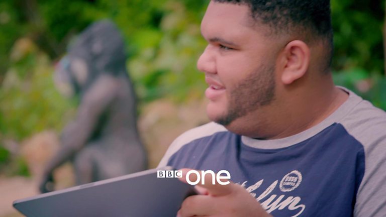 BBC One - Katie Price: Harvey and Me