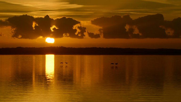 Bbc Two Autumnwatch Clips