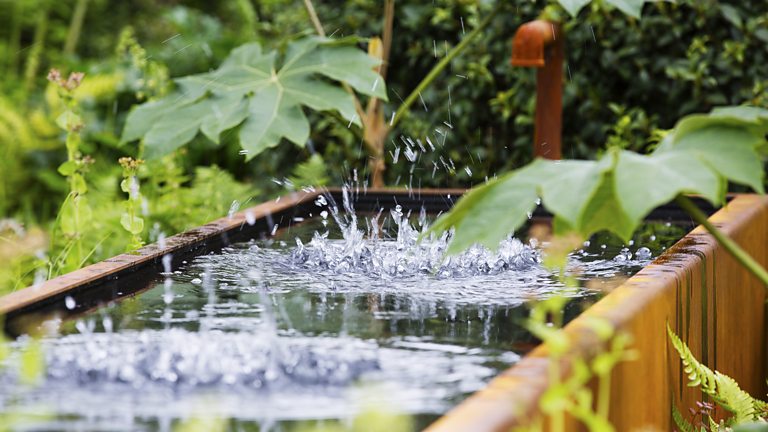 BBC Two - RHS Chelsea Flower Show, 2015, Show Gardens: RHS Chelsea 2015 ...