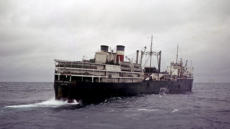 BBC Four - Britain's Whale Hunters: The Untold Story - A Glimpse Into ...