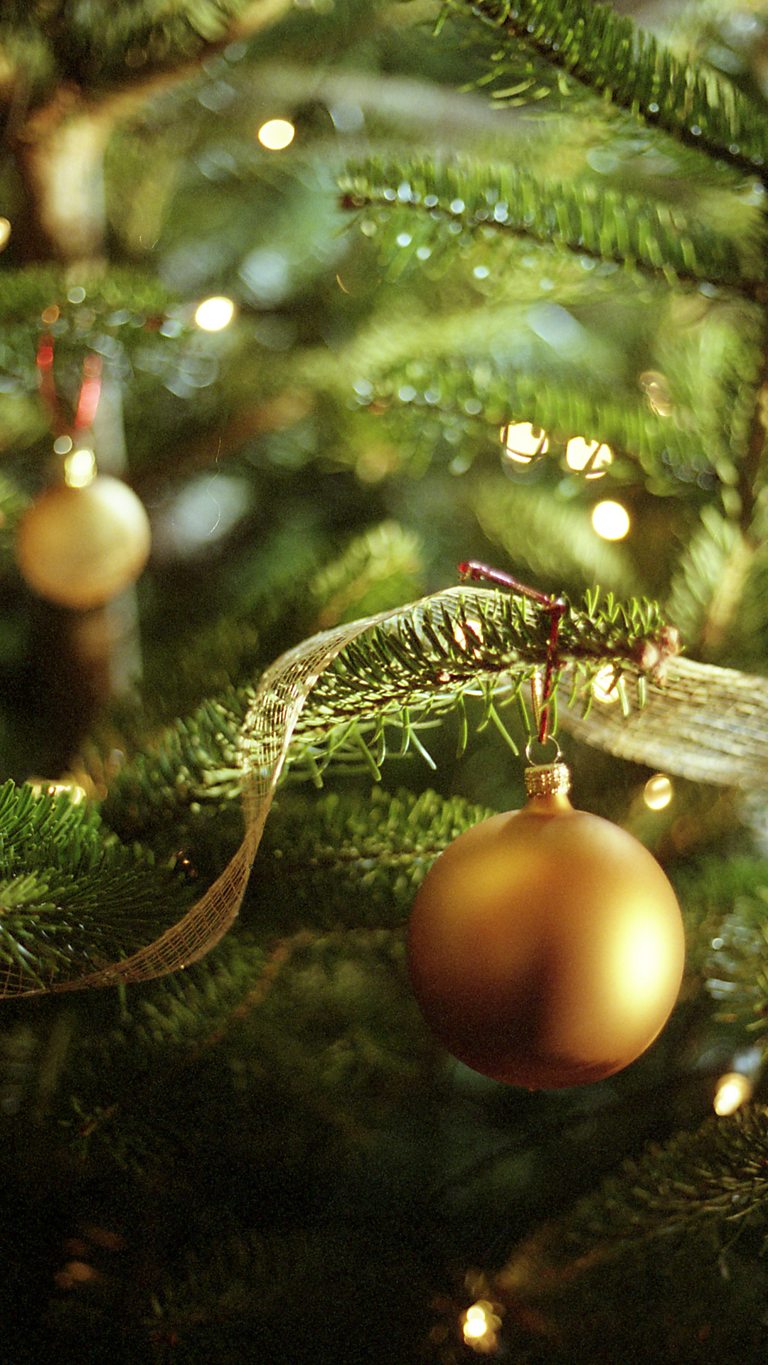 BBC Radio 4 You #39 re Dead to Me 8 amazing facts about the history of