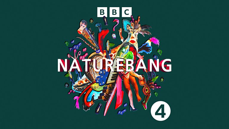 BBC Radio 4 - Yeti - Seven reasons why the yeti might actually exist