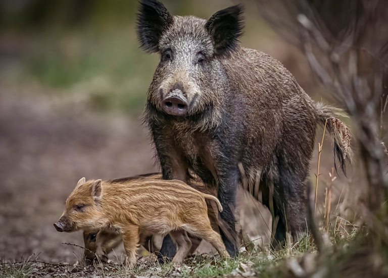 BBC One Countryfile Countryfile Calendar Vote 2023