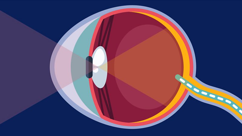 Light - KS2 Science - BBC Bitesize