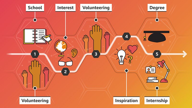 Medical careers: What qualifications do I need? - BBC Bitesize