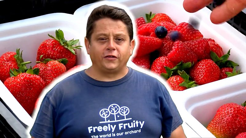 Reading College Students Grow Fruit And Vegetables For Foodbanks BBC News