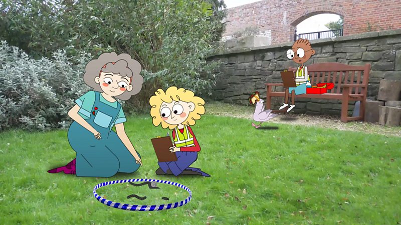 Fieldwork - KS1 Geography - BBC Bitesize