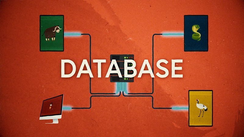 Selection - BBC Bitesize