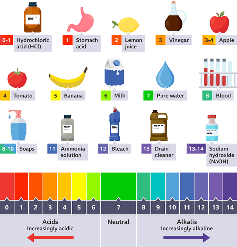 what-is-the-ph-scale-and-what-does-it-measure-bbc-bitesize