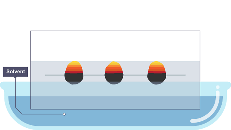 chromatography experiment bbc bitesize