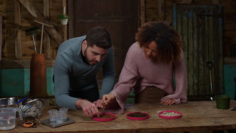 KS2 Science: Which Is The Most Absorbent Paper Towel? - BBC Teach