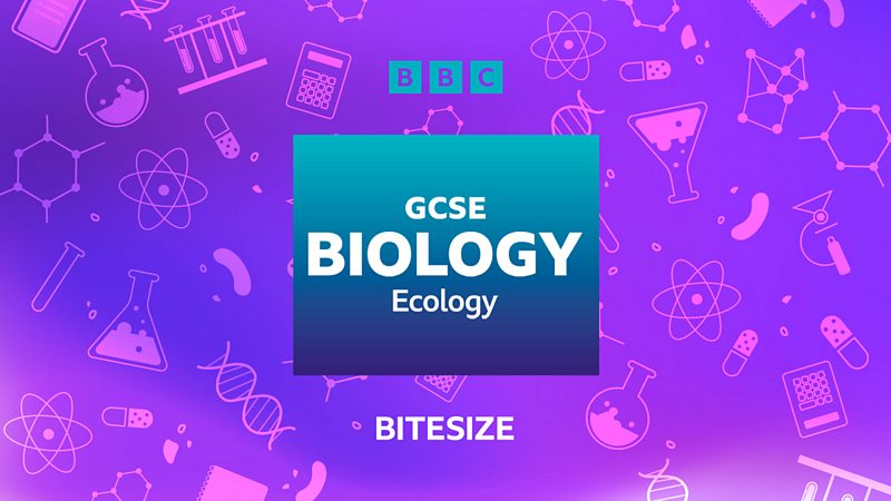 GCSE Biology (Single Science) - AQA - BBC Bitesize