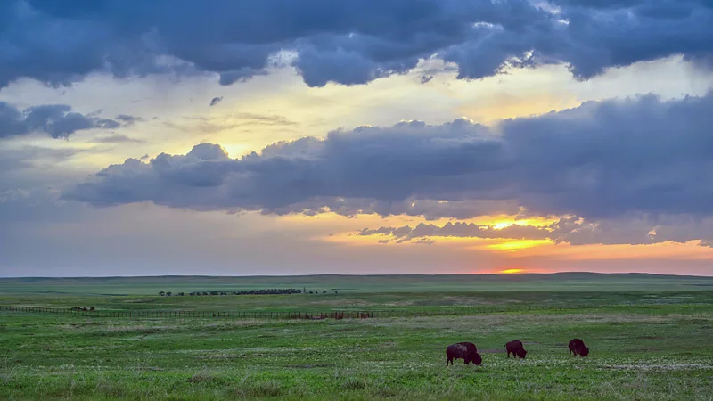 A national awakening to the Great Plains' gourmet bounty