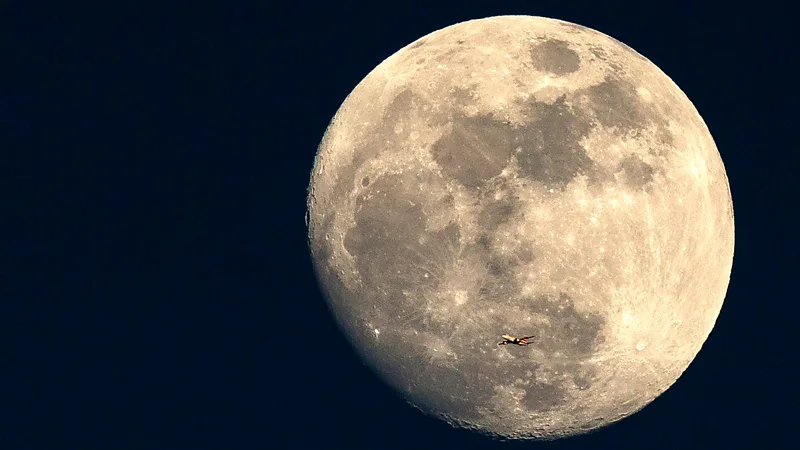 What will we eat on the Moon? The food is literally out of this world