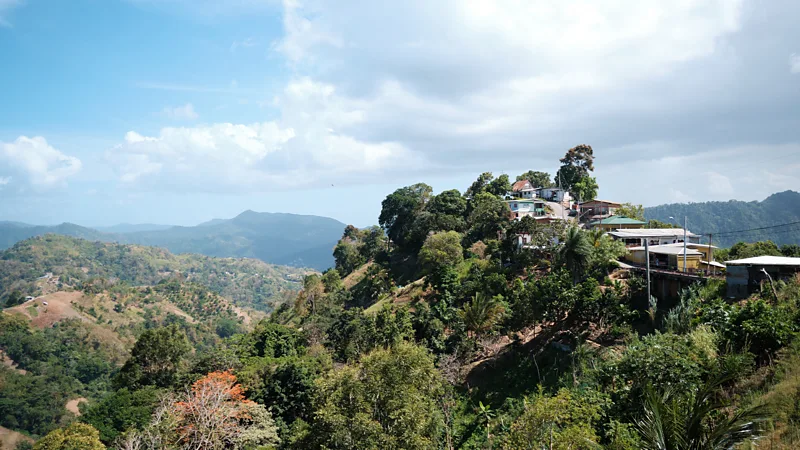 Ahead of hurricane weather, vetiver is stabilising this Caribbean island's crumbling hillsides