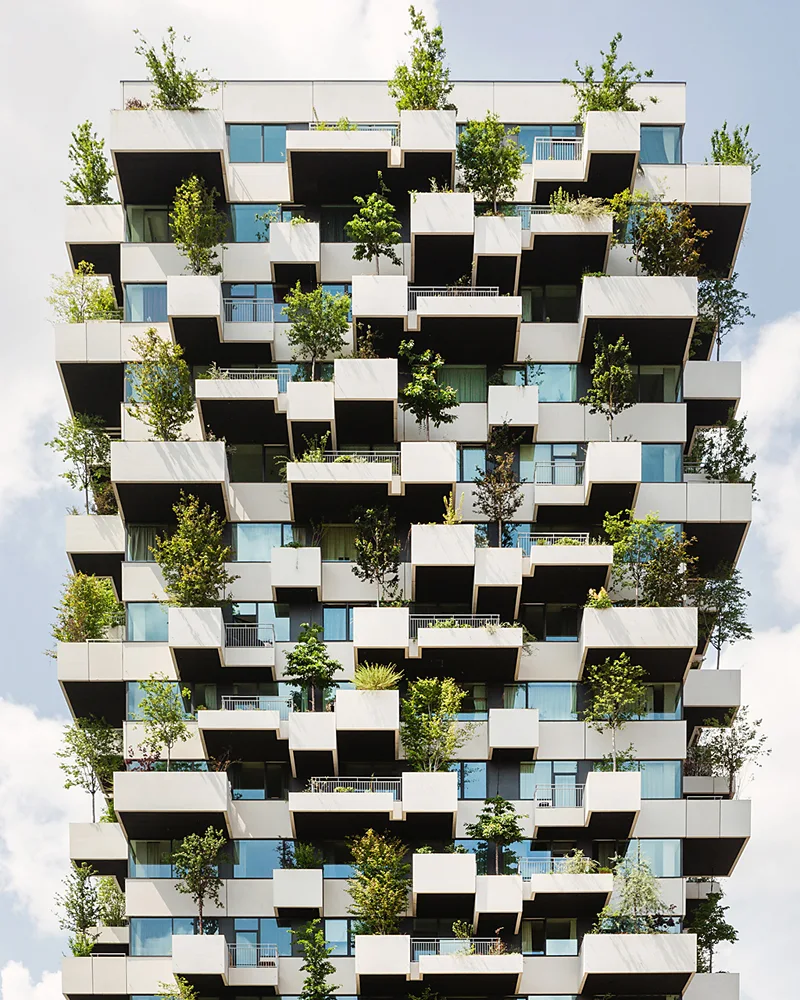 'A home for trees and birds, and also humans': How high-rise forests can transform city life – and make us happier