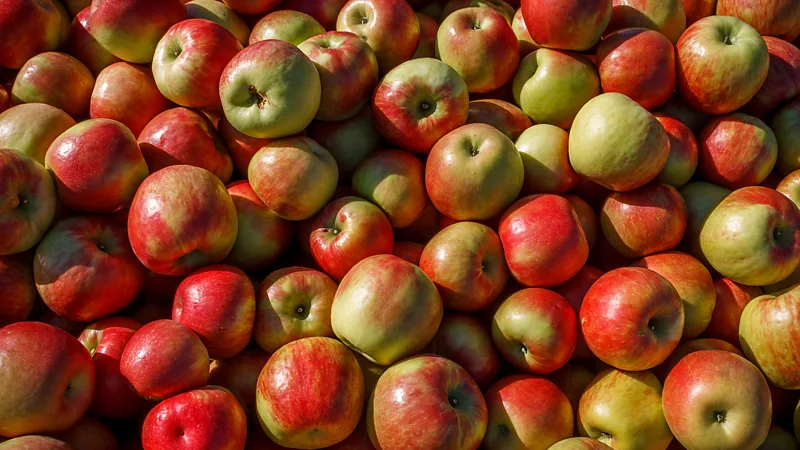 Why an apple a day is really good for you