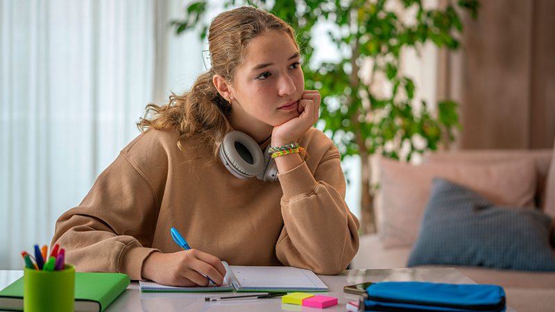 Study support - BBC Bitesize