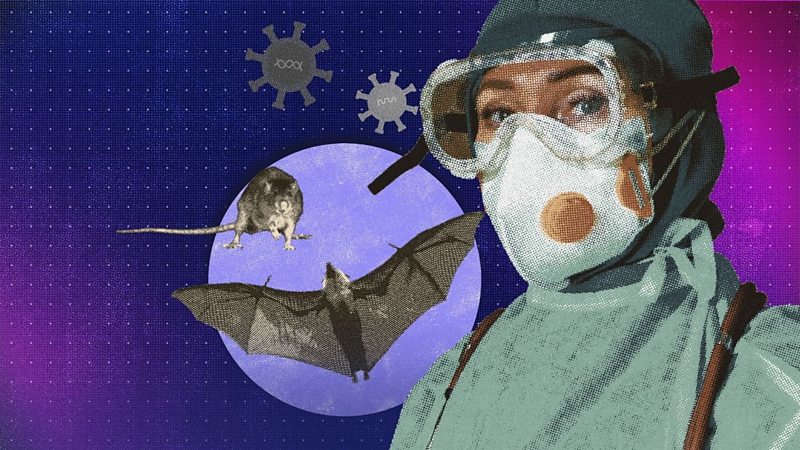 穿上防護衣的醫護人員、蝙蝠和老鼠