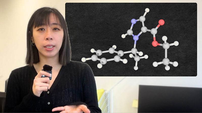 記者與「依托咪酯」化學成分模型