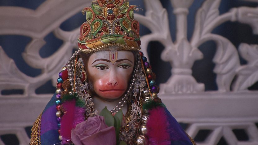 Bir qiz xorozlarni yolgiz soradi