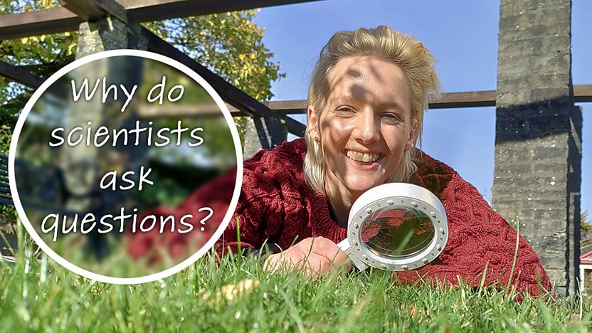 Biologists Ask Questions About