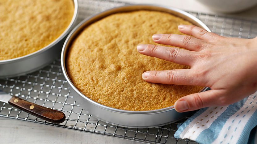 EASY! 4-Ingredient Oil Sponge Cake Recipe - Joy of Eating the World