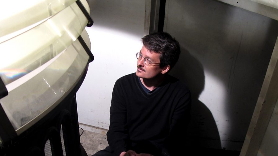 BBC Four Seven Ages Of Starlight