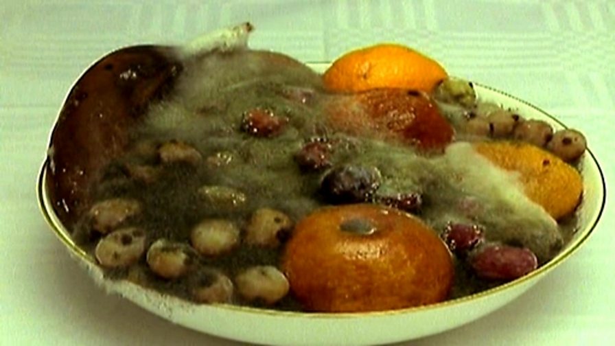 BBC Two Science Clips, Micro Organisms, Time lapse photography of