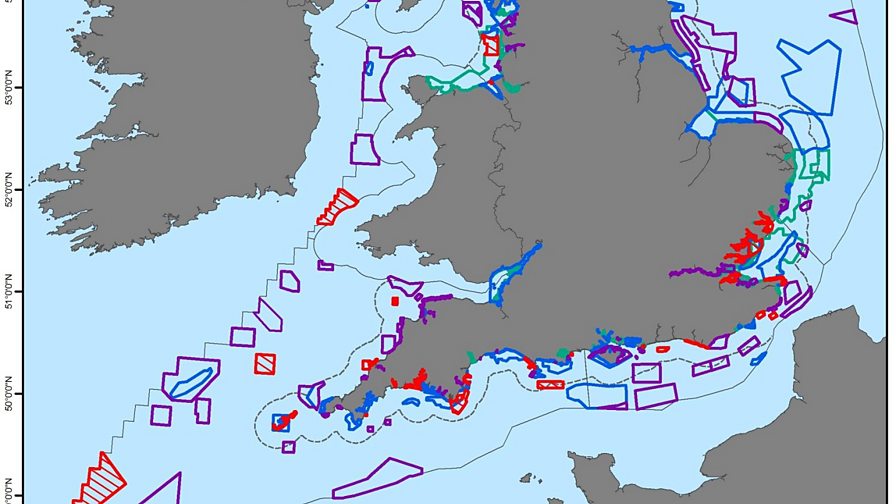 BBC Radio 4 Saving Species, Series 3, Marine Conservation Zones