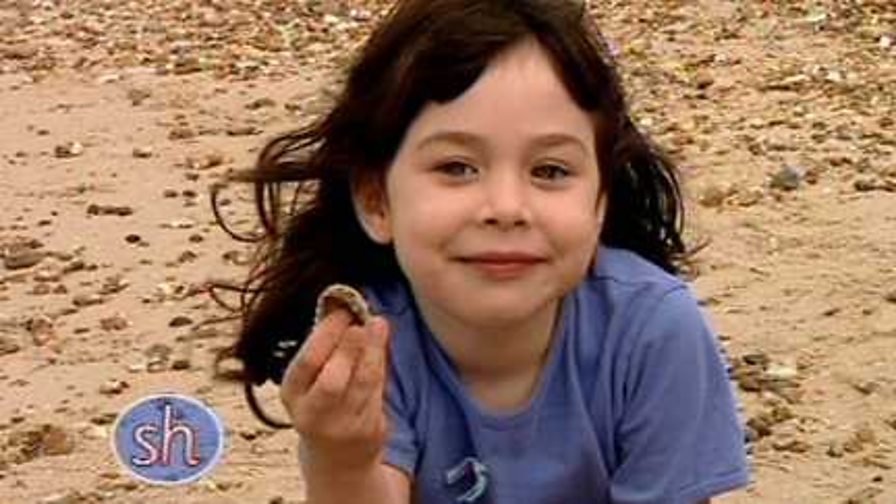 BBC Two Words and Pictures Fun with Phonics, The sh sound