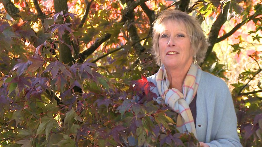 BBC Two - Life in a Cottage Garden with Carol Klein - Episode guide
