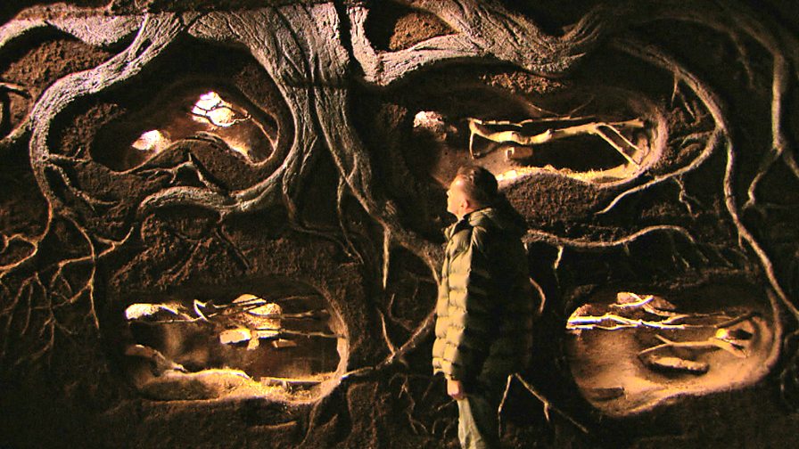 BBC Two The Burrowers Learning Zone, How do rabbits live underground?