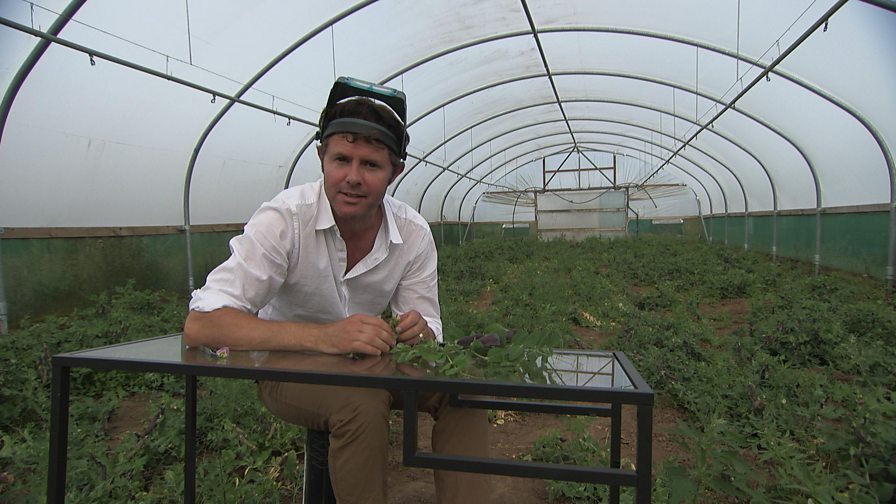 BBC Two Science of the Harvest, The importance of animal