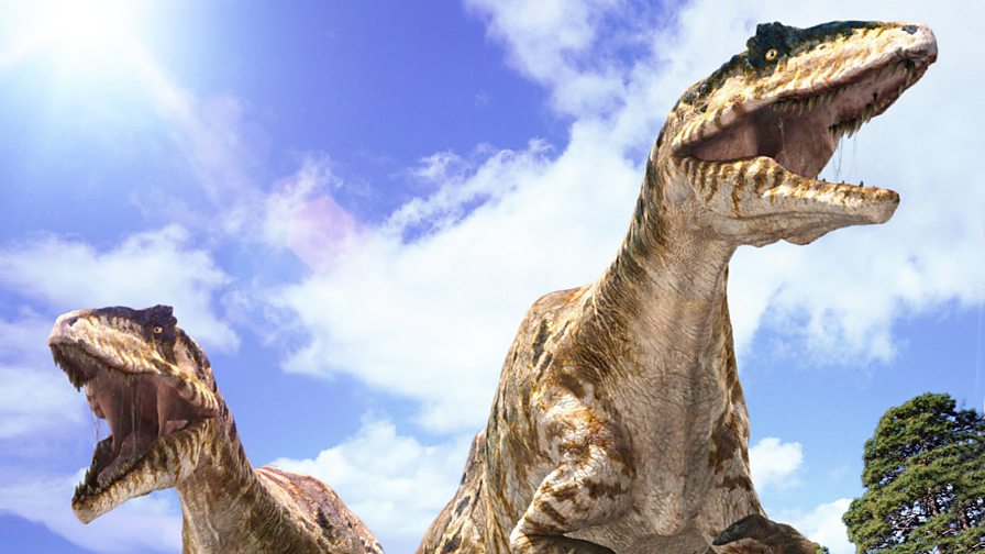 Bbc One Walking With Dinosaurs Compilations