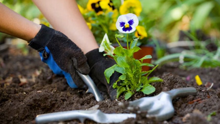 BBC Two - The A To Z Of TV Gardening, Original Series