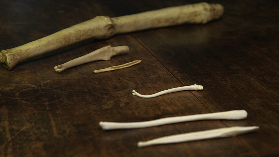 BBC Four Secrets of Bones